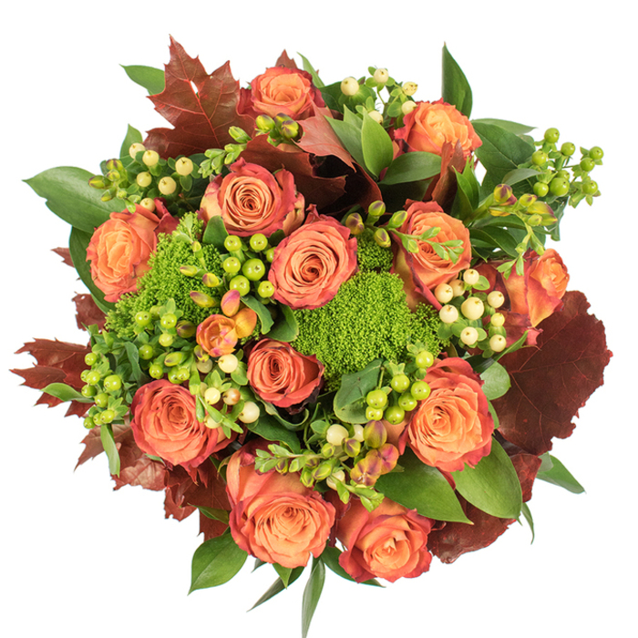 Captured in a top-down composition on a crisp white surface, this autumn bouquet was conceived to read as a compact, luxurious harvest. A chorus of large roses dominates the arrangement, each bloom showing a warm gradient from soft peach near the centre to coral and then a deeper, burnt-orange or russet at the outer petals - a palette that recalls late-September leaves. Interspersed among these classic flowers are plush clusters of Green Trick dianthus, their felted, moss-like texture creating concentrated pockets of vibrant green, and groups of Hypericum berries in chartreuse lime and pale cream, adding bright, buttoned punctuation across the round form.
Strategic placement of broad, glossy green foliage gives the design structure, while prominent, lobed leaves in deep burgundy and reddish-brown echo fallen oak and maple, anchoring the composition in an autumn mood. The tactile contrasts - velvety petals, waxy berries, and cushiony green trick - invite close inspection, and soft, diffuse lighting draws out warm highlights and gentle shadows. As a local florist working in Cowley, Florist Cowley often recommends this style as a Thanksgiving centrepiece, a seasonal gift for friends and family, or a comforting arrangement for an autumn mantel; it is suitable for delivery across Cowley and nearby parts of Oxford when you want to send harvest-season warmth and understated, textural beauty.