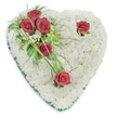 A gently composed heart-shaped memorial, photographed against a clean white background, made from a dense, pillowy bed of small, pristine white chrysanthemums that create a soft, cloud-like surface. The heart's textured white field is punctuated by five deep crimson roses: a close cluster of three blooms sits on the upper left, their petals fully opened and sheltered by a mix of glossy broad leaves and airy, fern-like fronds, while two solitary roses are placed as quiet accents - one near the upper right curve and the other toward the bottom point. Slender, arching blades of bright green bear grass sweep outward from the foliage, adding a flowing, organic line. Tiny white filler blooms, hinting at freesias, nestle among the greenery for delicate contrast. A narrow emerald-green satin ribbon precisely trims the entire perimeter, forming a refined border that emphasizes the heart shape and lends a solemn, elegant finish. Soft, overhead lighting picks out subtle shadows between the chrysanthemum cushions and the rose petals, revealing depth and the careful handwork of an experienced florist. The overall effect is one of peaceful dignity - purity and remembrance in white, punctuated by the rich crimson that signifies enduring love and respect. This sympathetic tribute is the kind of arrangement families often choose for services at local churches or crematoriums in and around Cowley, carried with quiet care to honour a life and offer comfort to mourners.